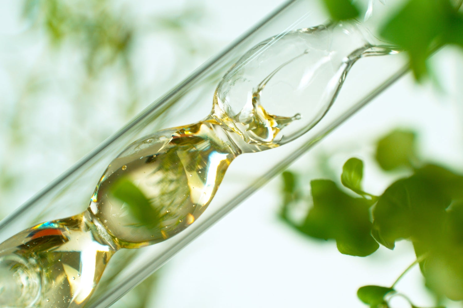 manuka oil in science test tube