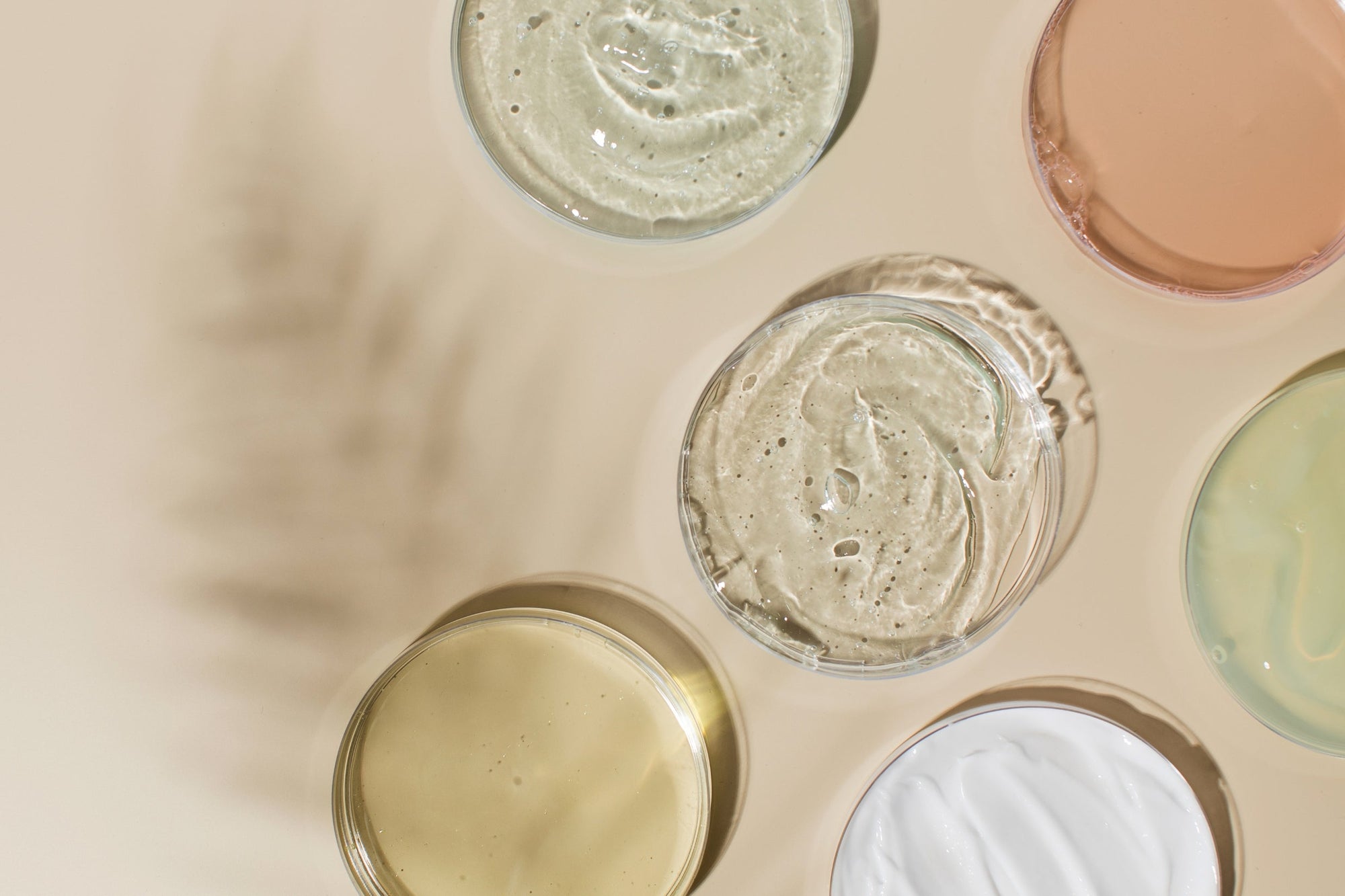 Skincare in petri dishes with plant shadow